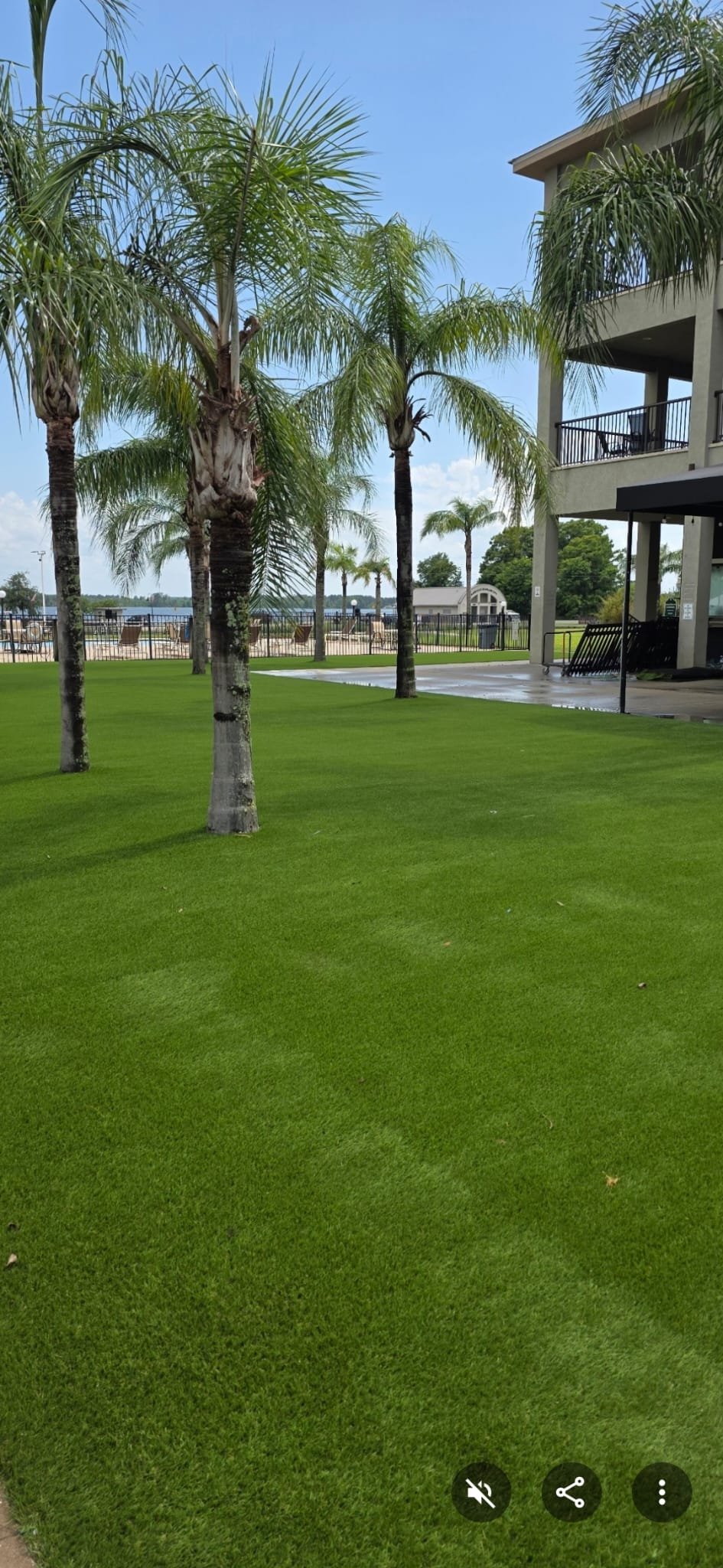 Turf Project 18