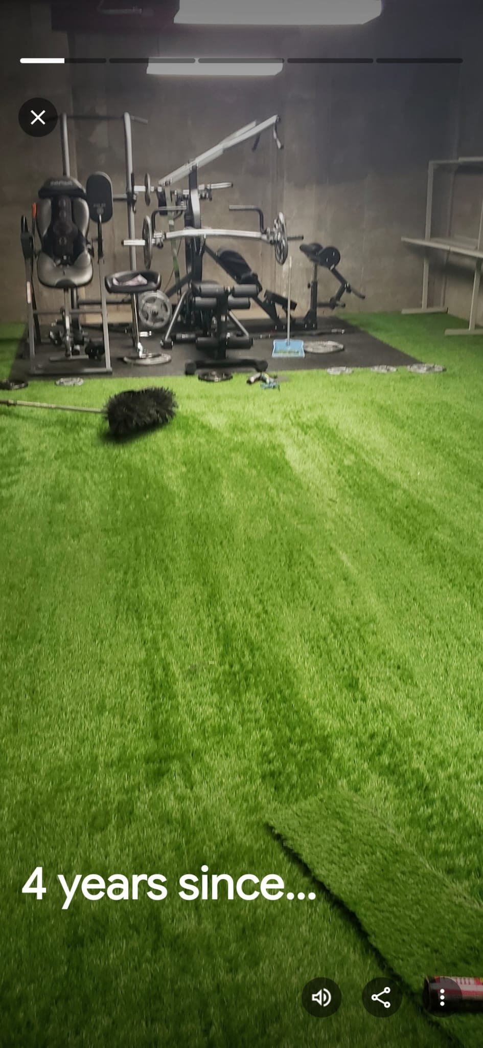 Turf Project 17