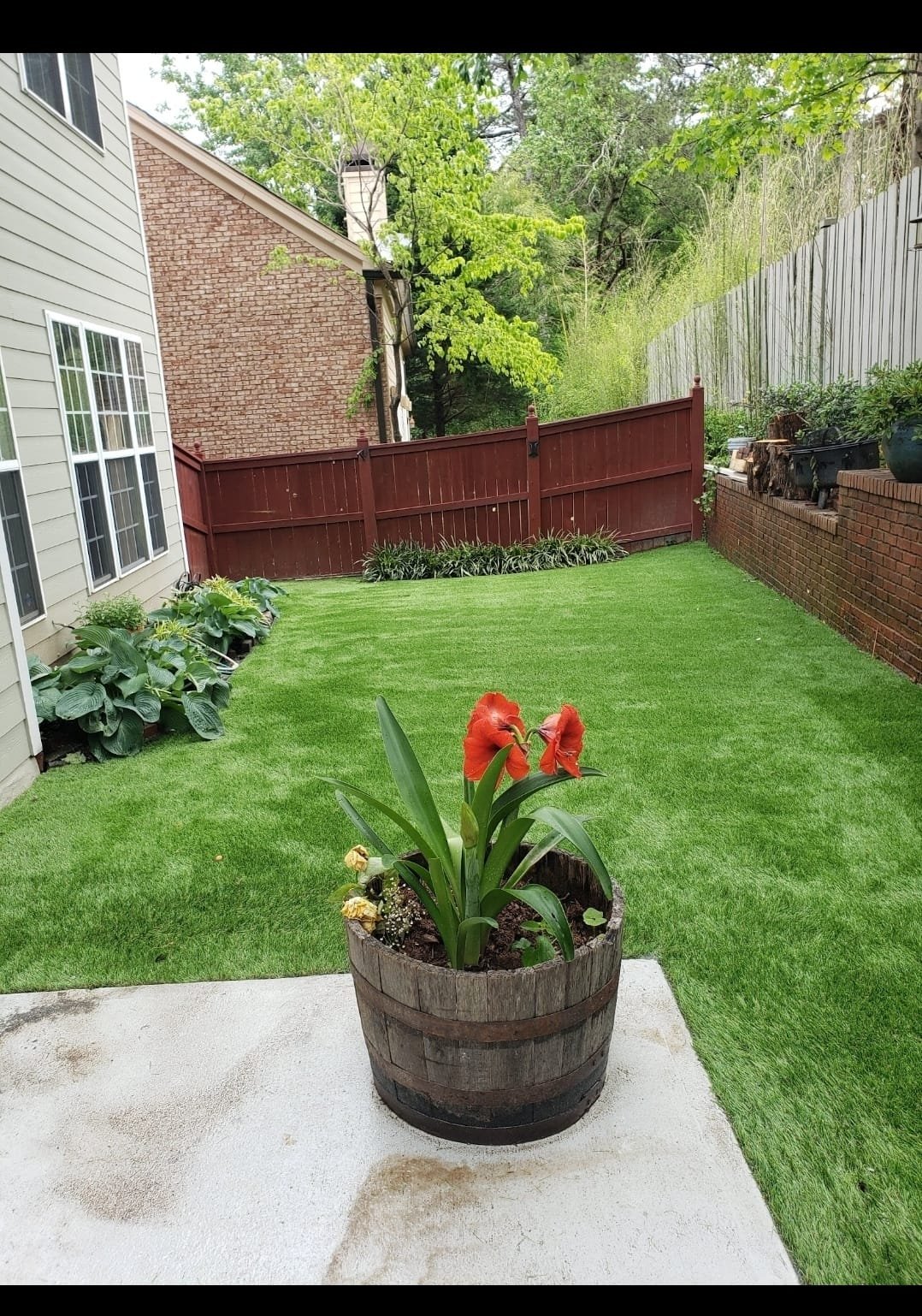 Turf Project 11