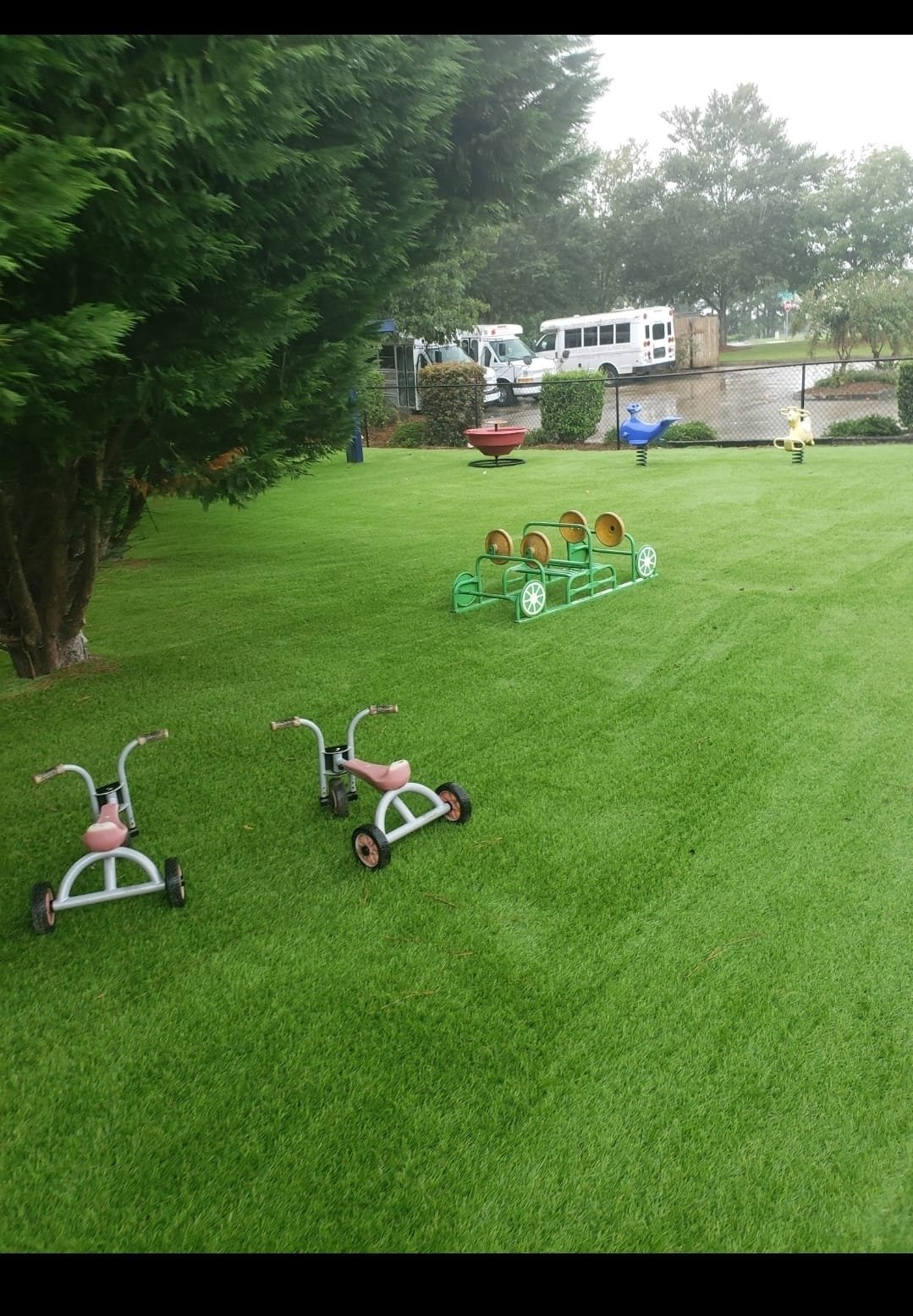 Turf Project 8