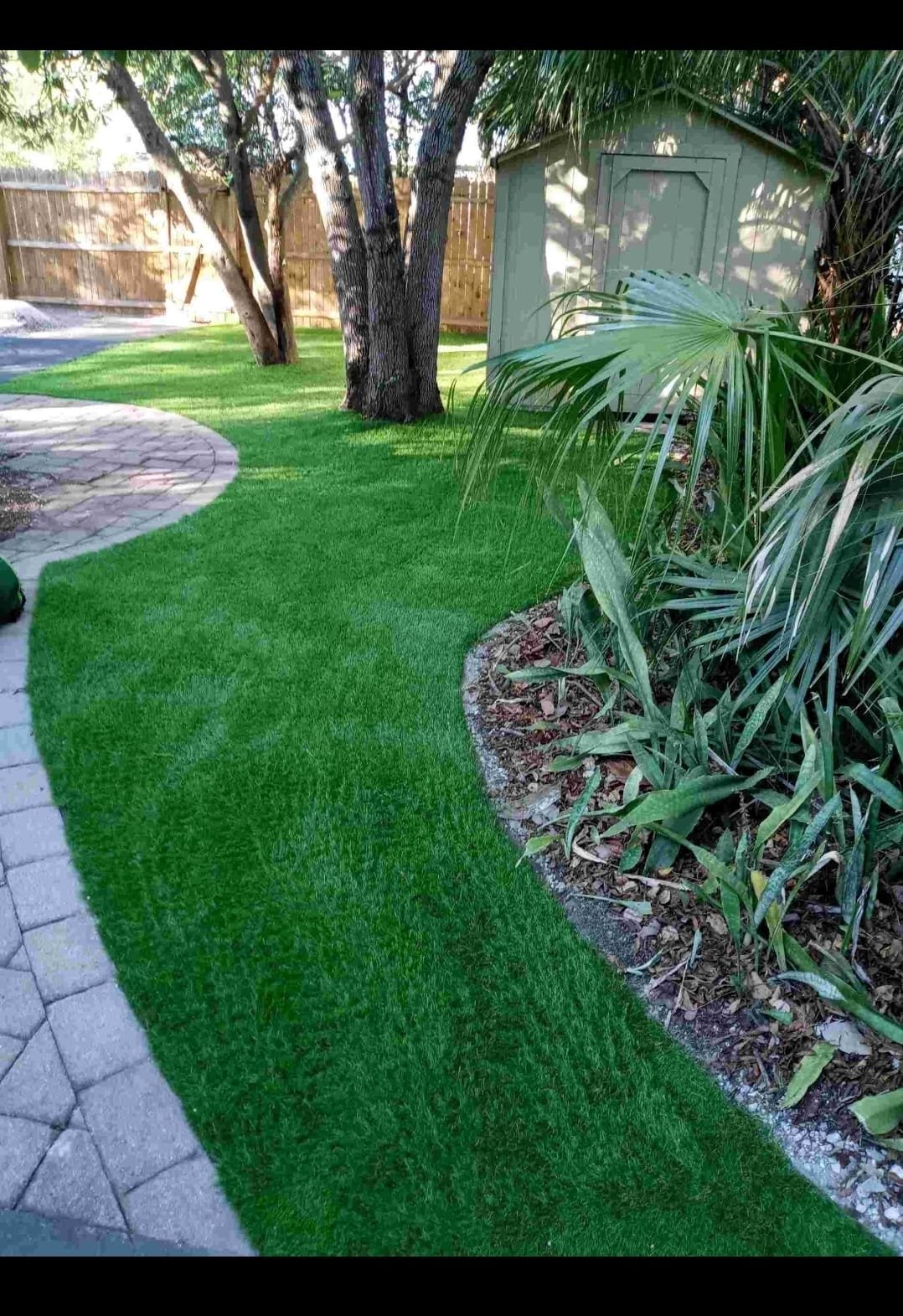 Turf Project 6