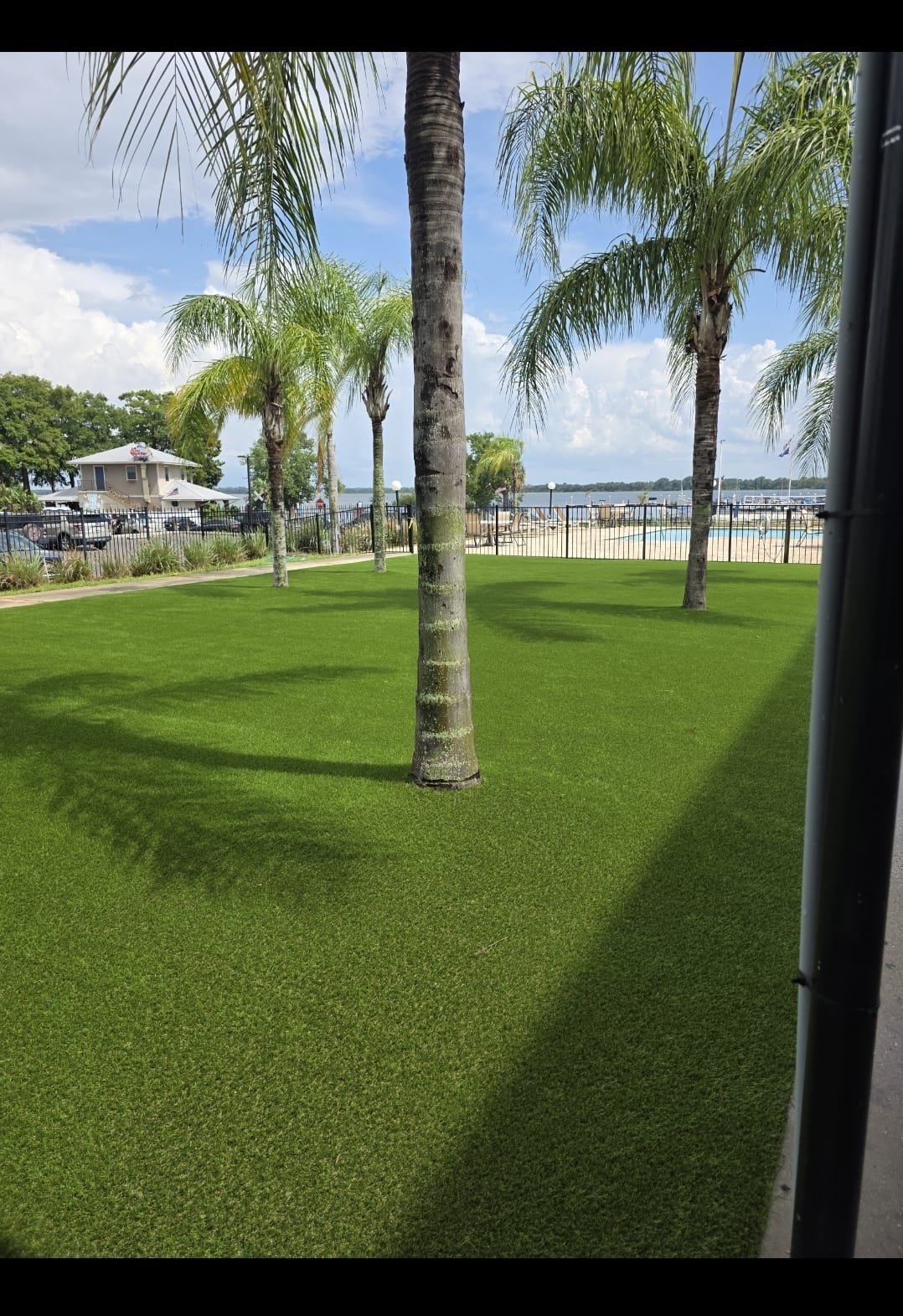 Turf Project 3