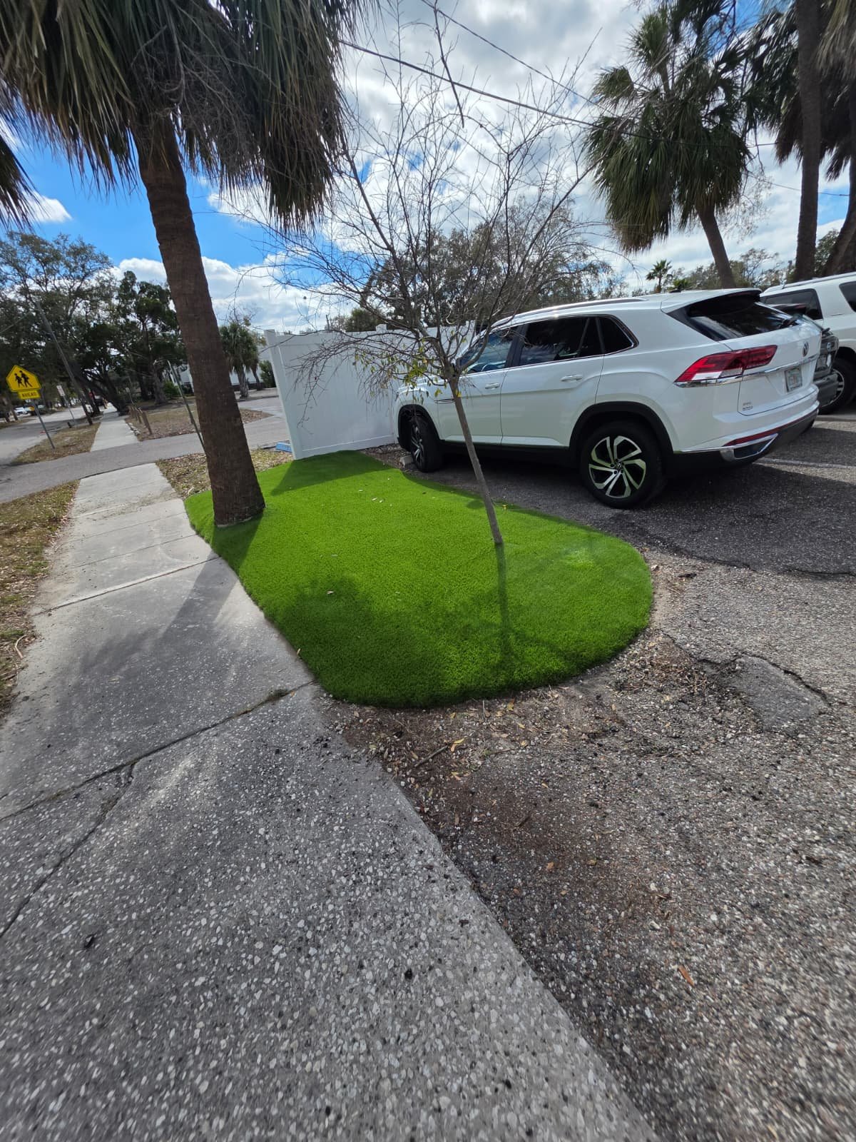 Turf Project 1